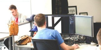 productive creative employees